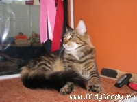 After grooming