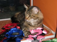 Do not touch - it is mine!