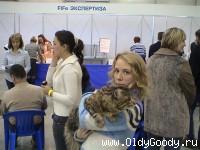 перед судейством