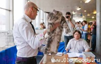 Какой же ты длиннючий!