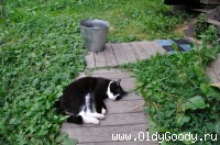 Отдых после трудов праведных