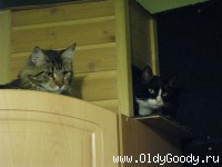Домик в прихожей