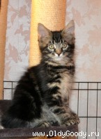 10 weeks